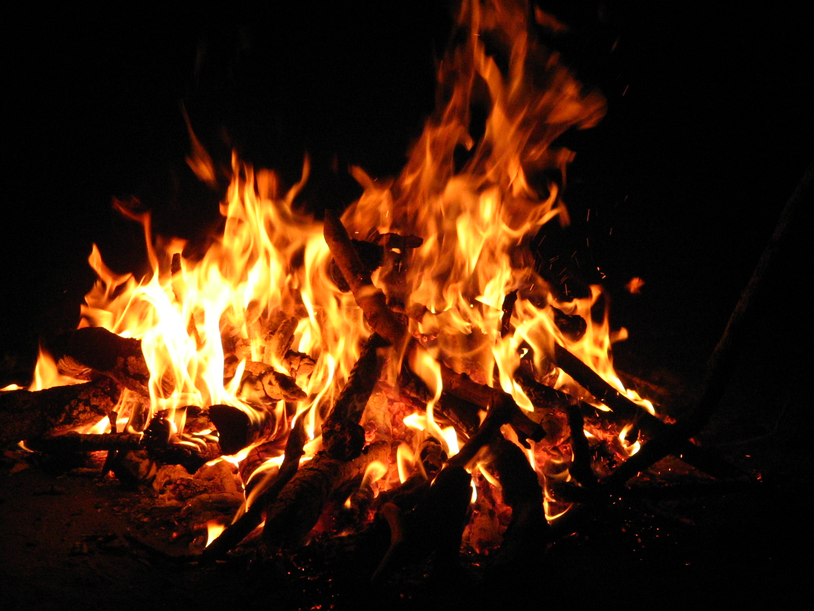 Yule Log Bonfire At Wingate University