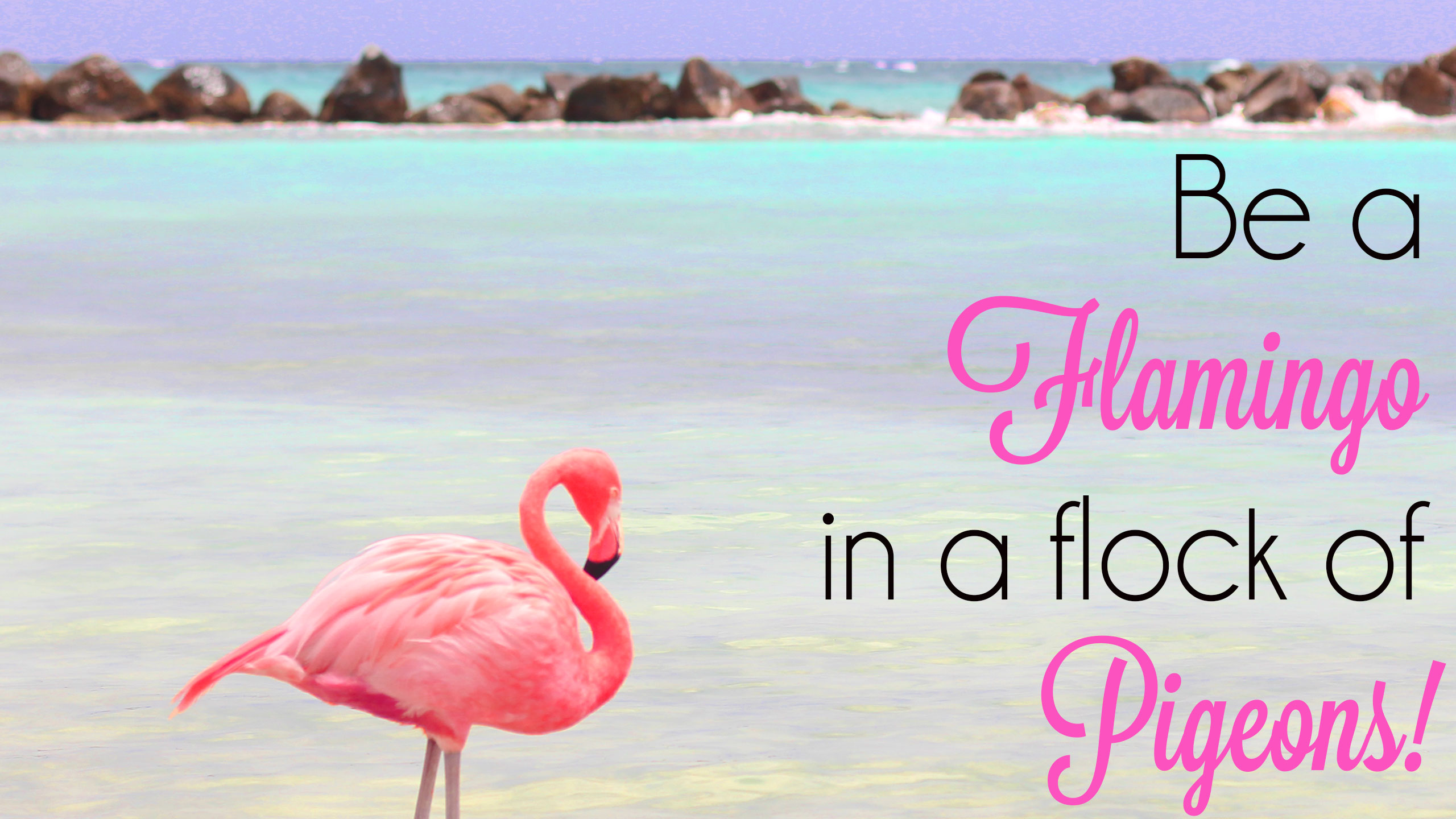 Be A Flamingo In Flock Of Pigeons Desktop Wallpaper