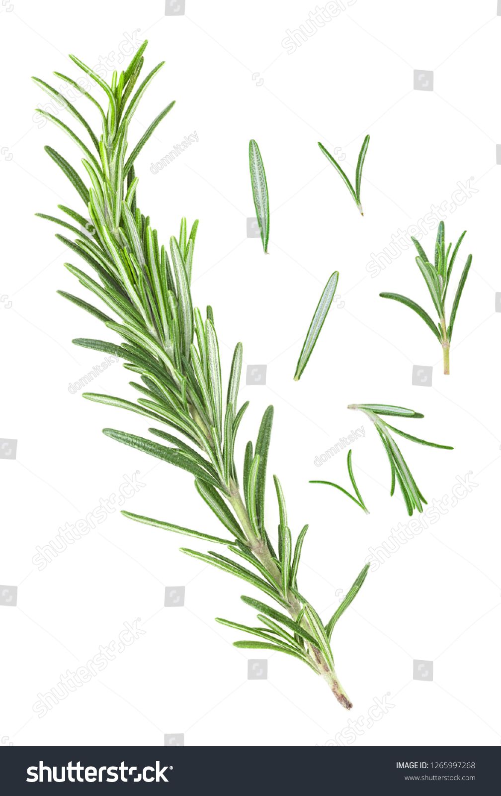Rosemary Twig And Leaves On A White Background Top