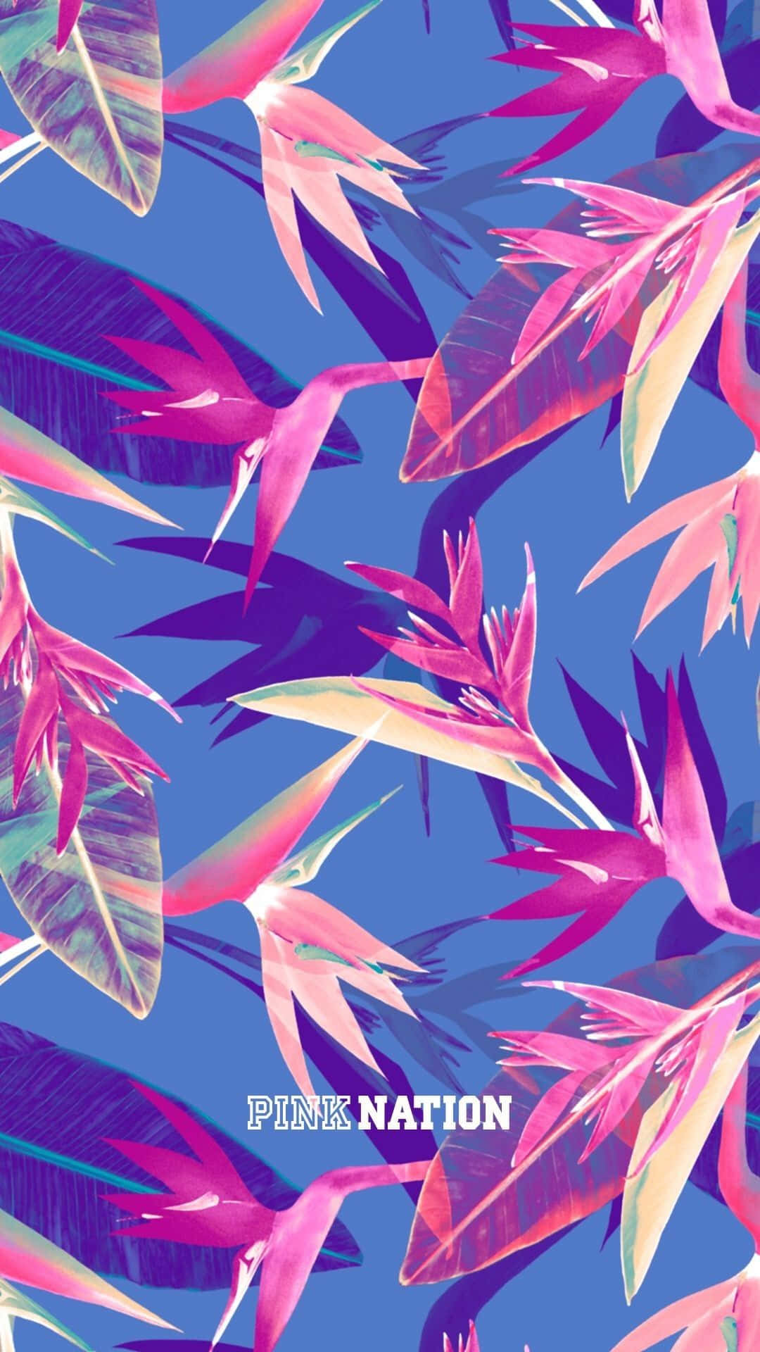 Victoria Secret Background Wallpaper