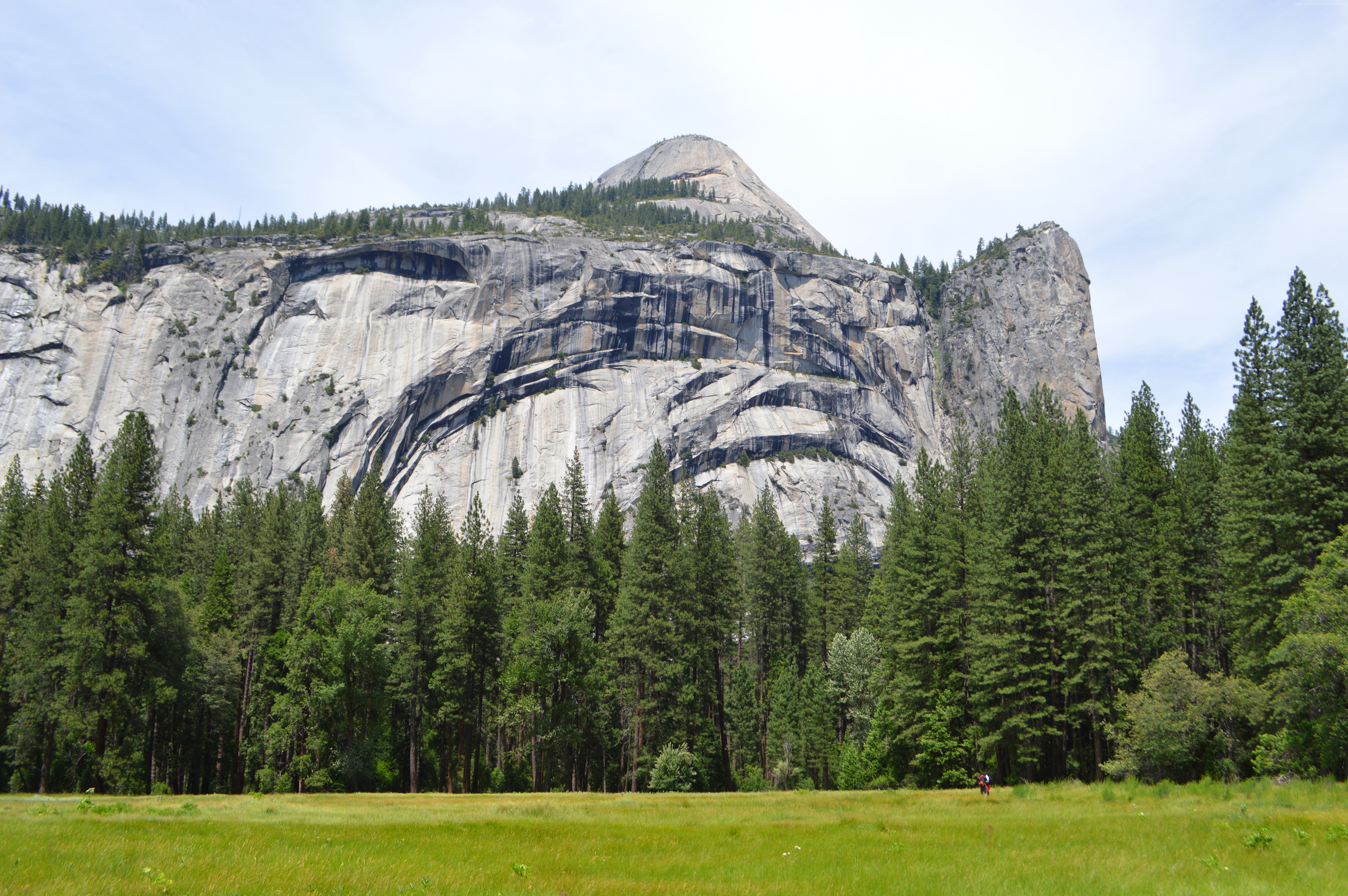 Wallpaper Os Imac Yosemite 5k Forest Osx Apple
