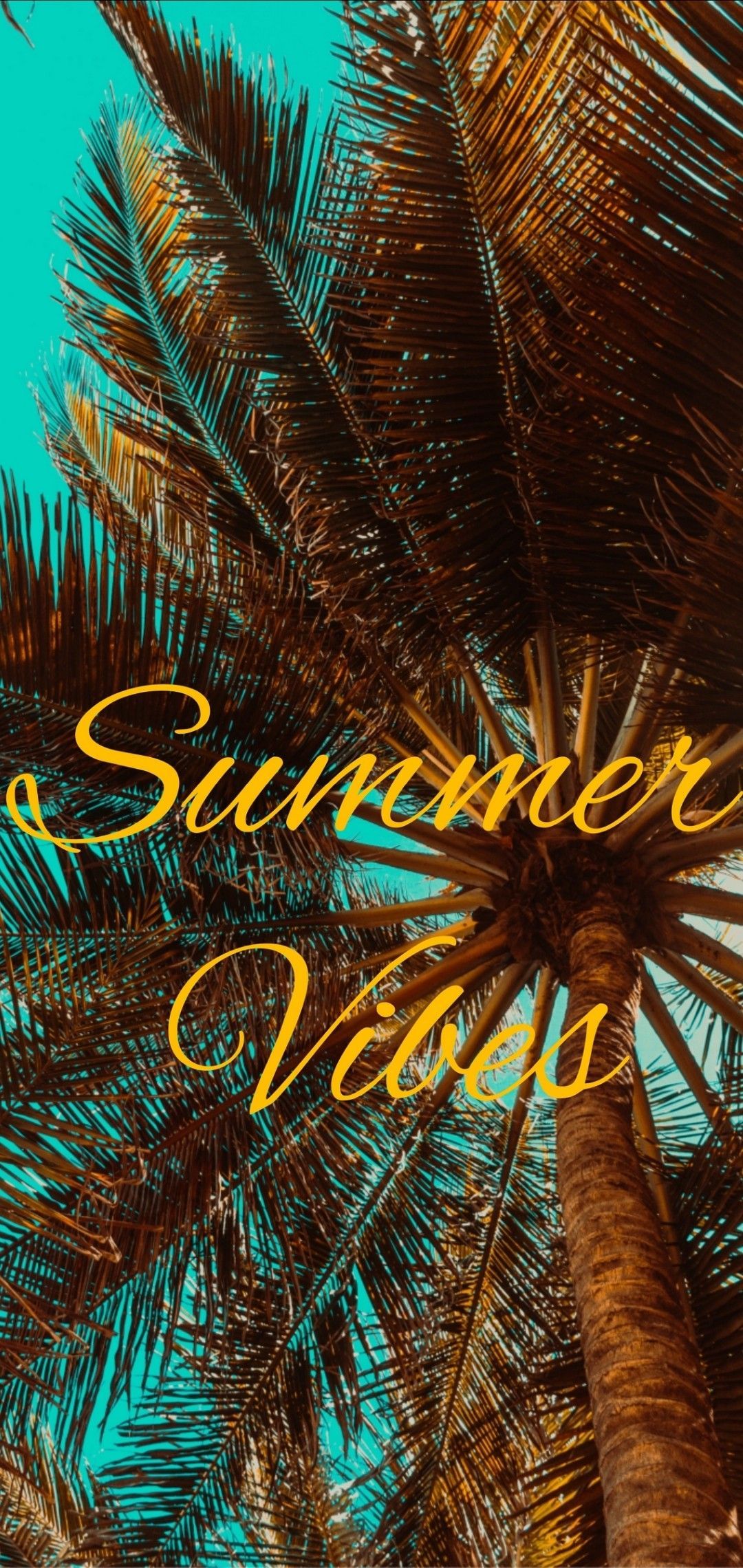 Cool Vibes Wallpaper