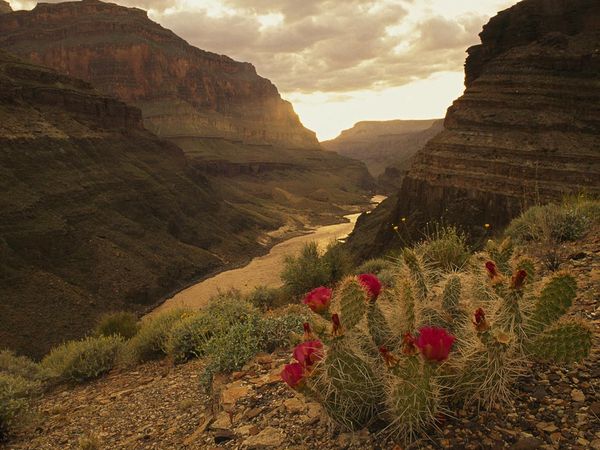 Canyons Photos National Geographic