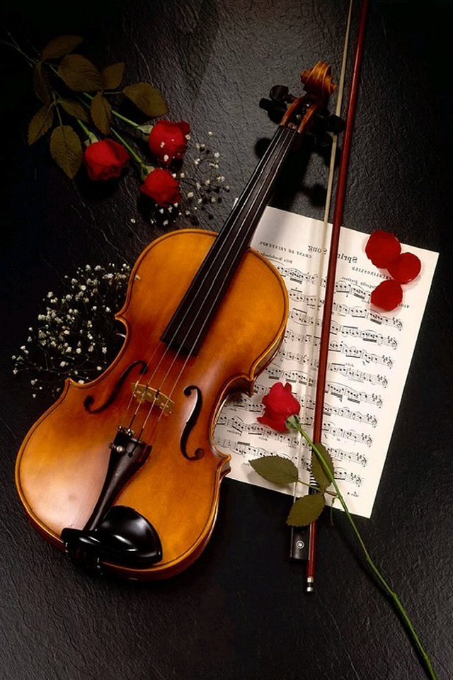 Violin Rose iPhone Wallpaper