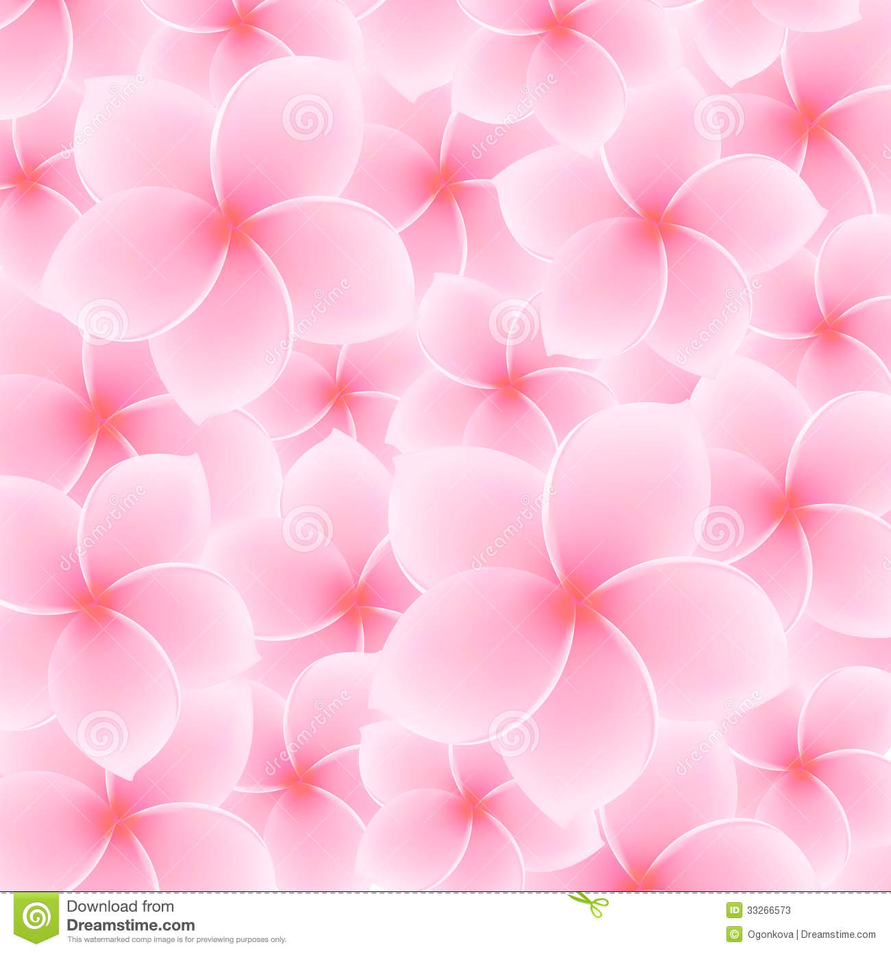 Pink Plumeria Frangipani Pattern Flower Stock Photos Image