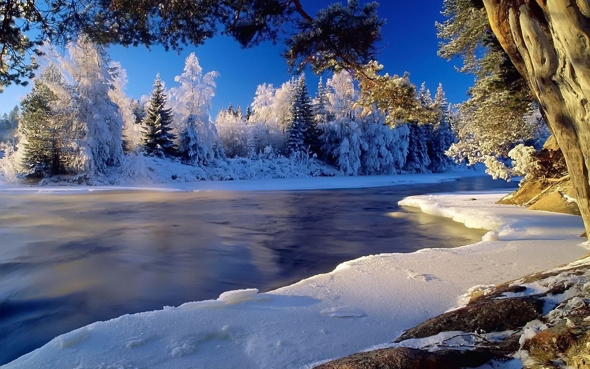 Winter Landscape Wallpaper Full HD