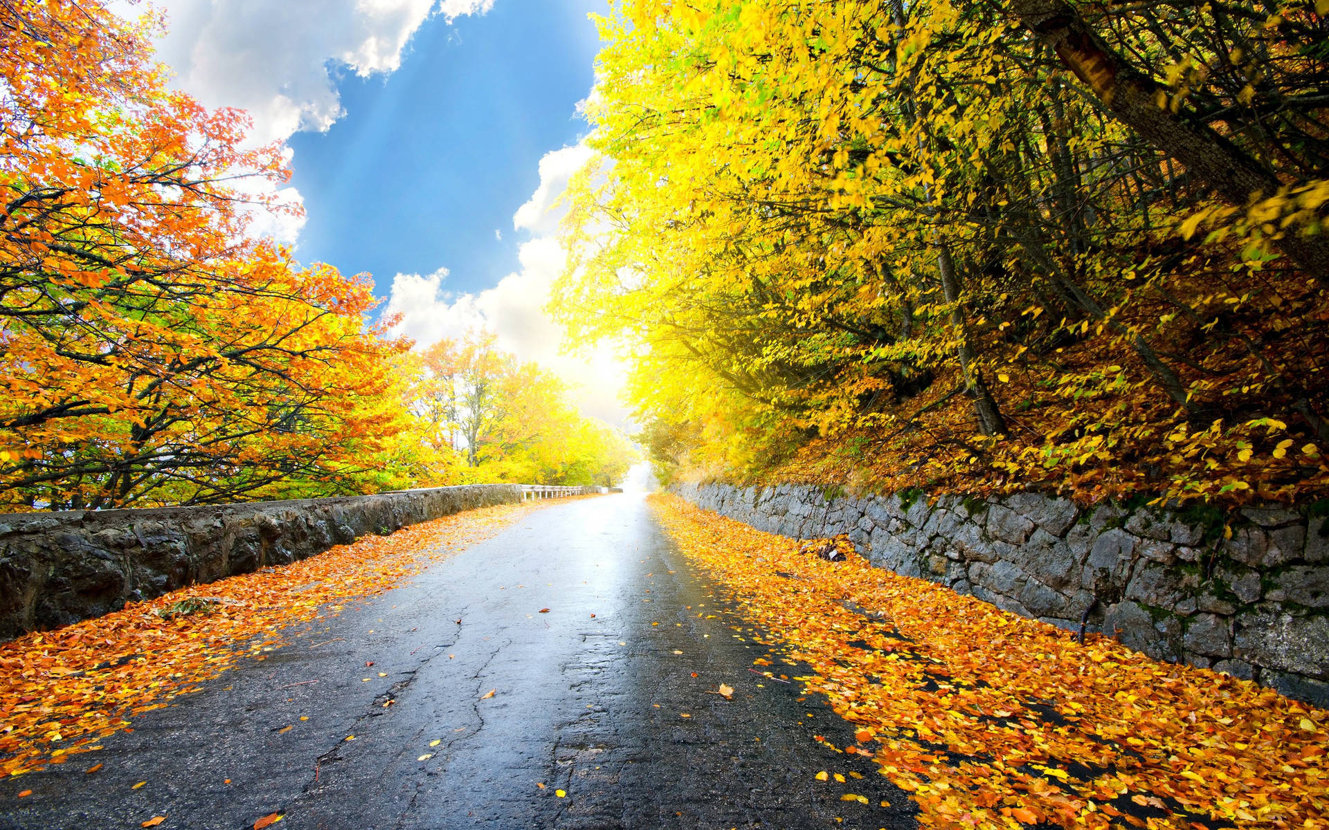 4k Autumn Wallpaper