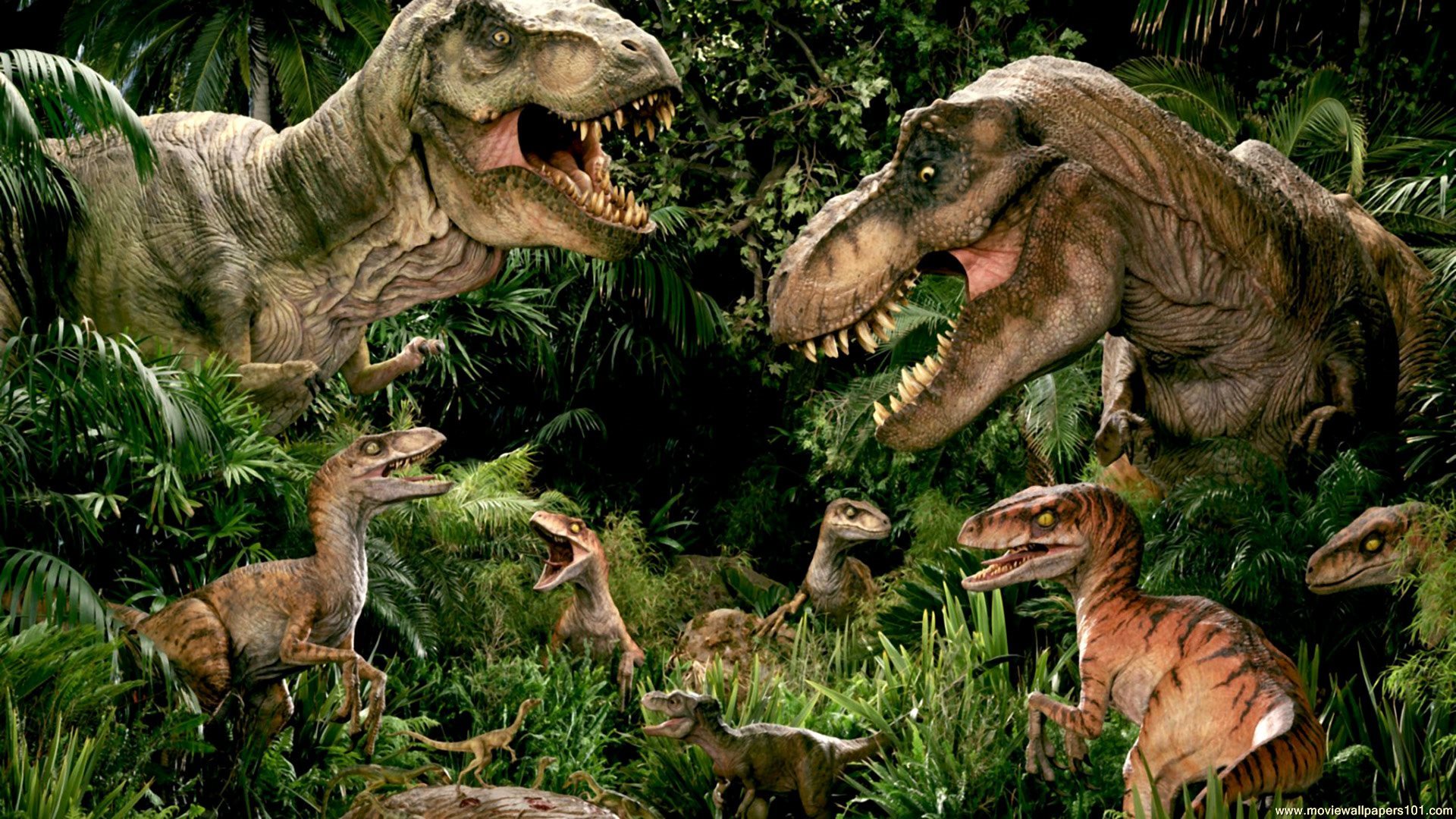 Jurassic World Dinosaurs Movie HD Wallpaper   Stylish HD Wallpapers