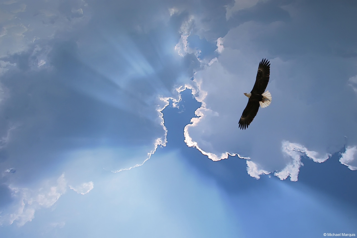 Soaring Above My Circumstances Just Do Today