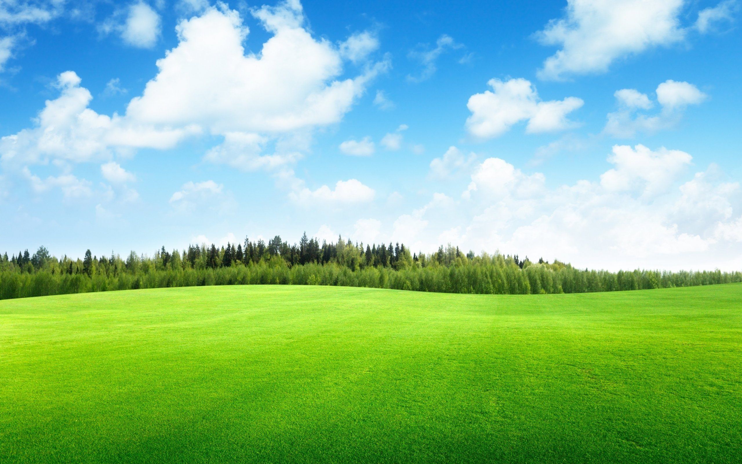 🔥 Download Beautiful Green Landscape Wallpaper HD by @sortega71