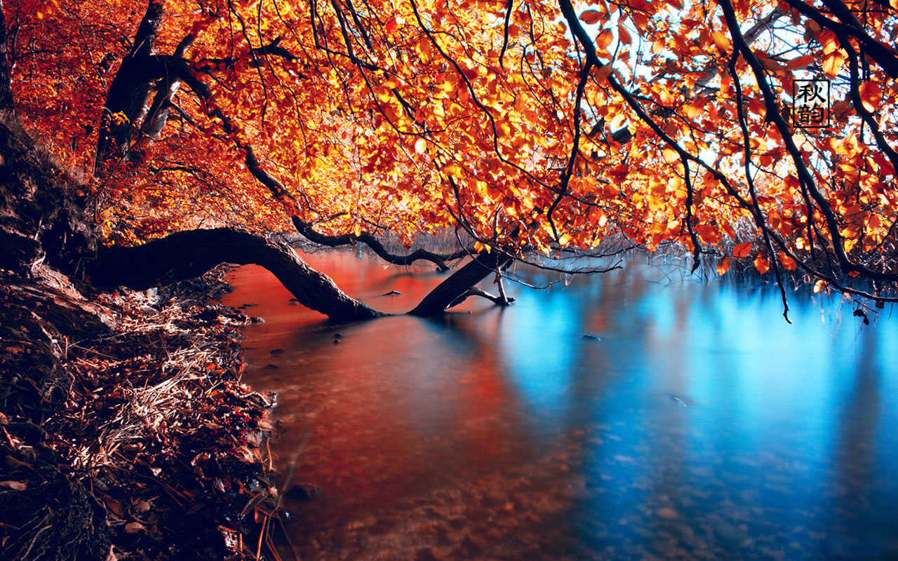 Free download WallpapersLate autumn seasonal lake views