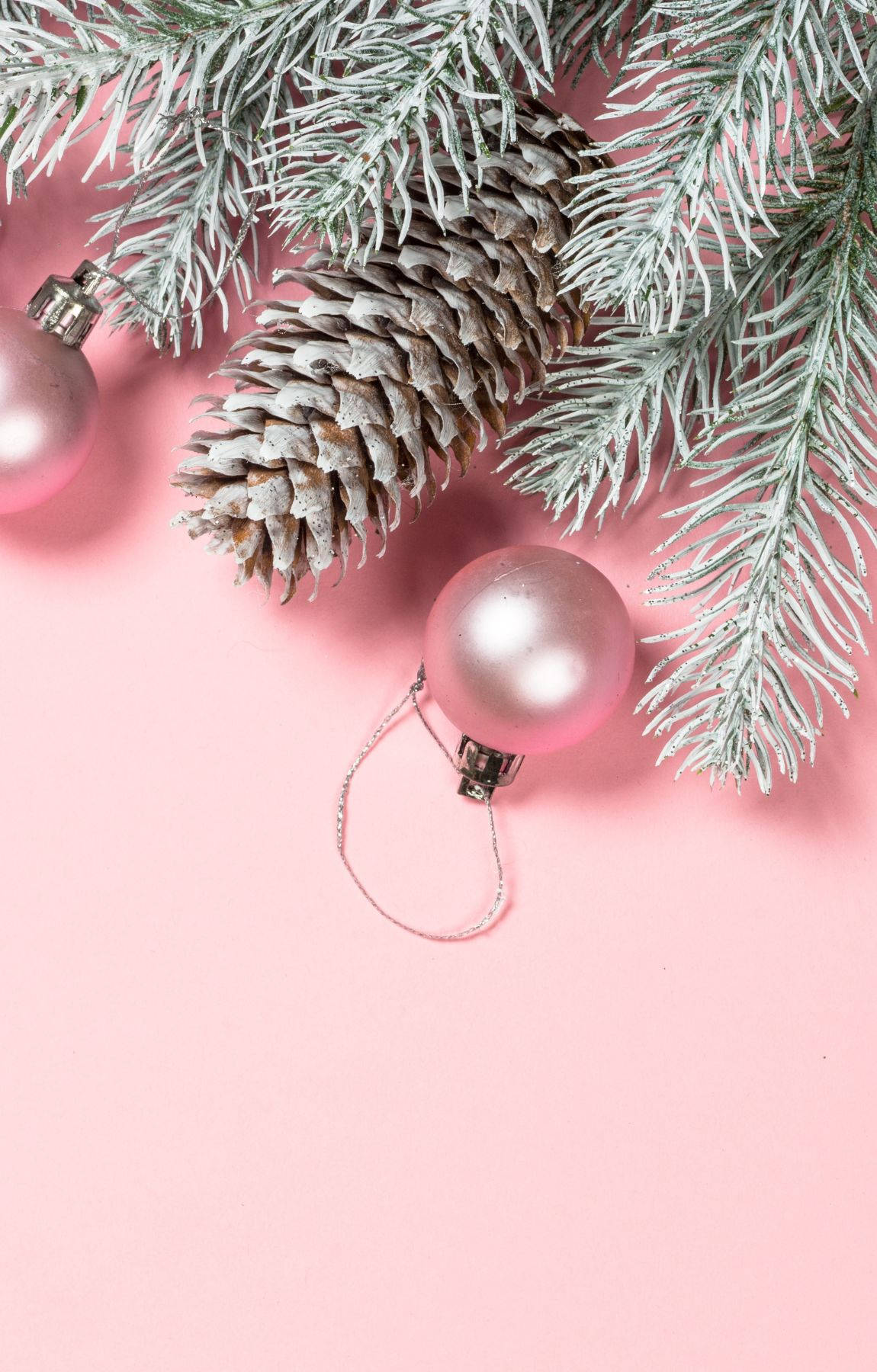 Baby Pink Wallpaper