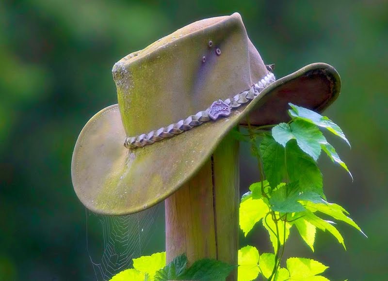 Cowboy Hat Wallpaper Cowboy Hat Wallpaper