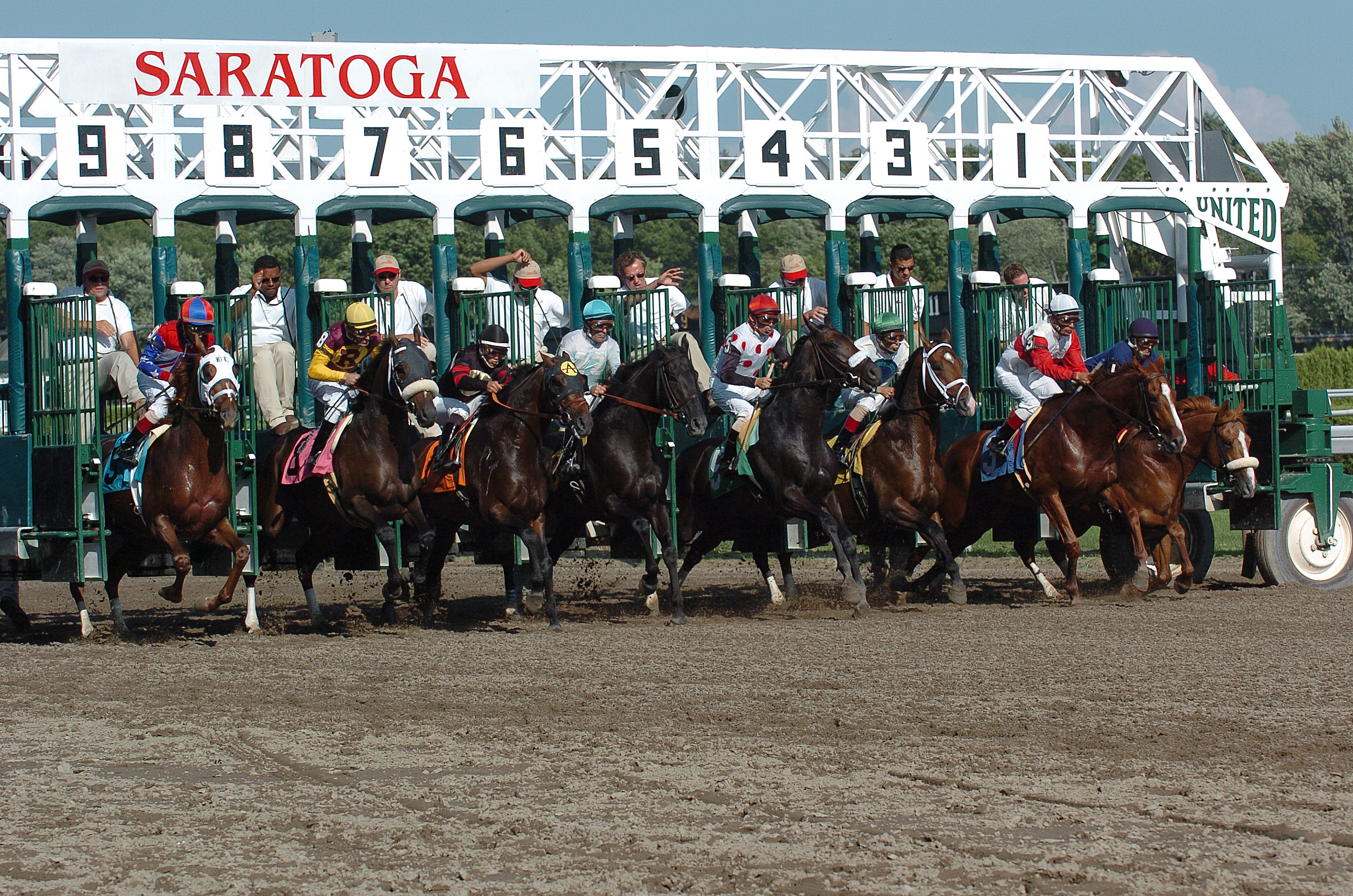 Saratoga Horse Racing 20gate 20horses Jpg