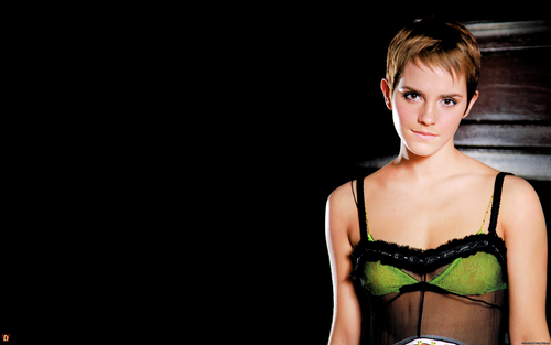 Emma Watson Image Mc Wallpaper HD