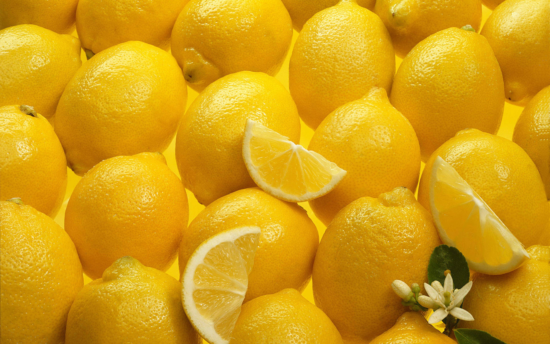 Lemon Wallpaper