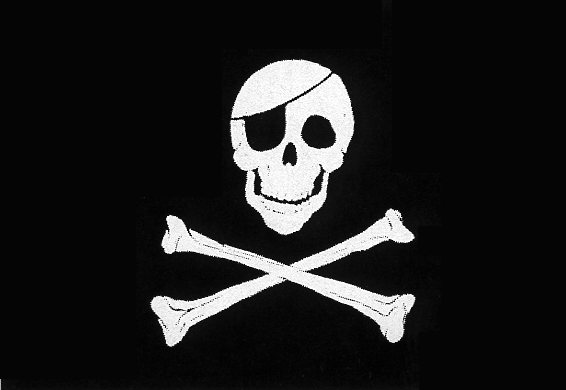Jolly Roger Flag Displaying Gallery Image For Original