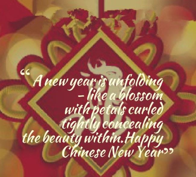 Happy Chinese New Year Wishes Messages Wallpaper