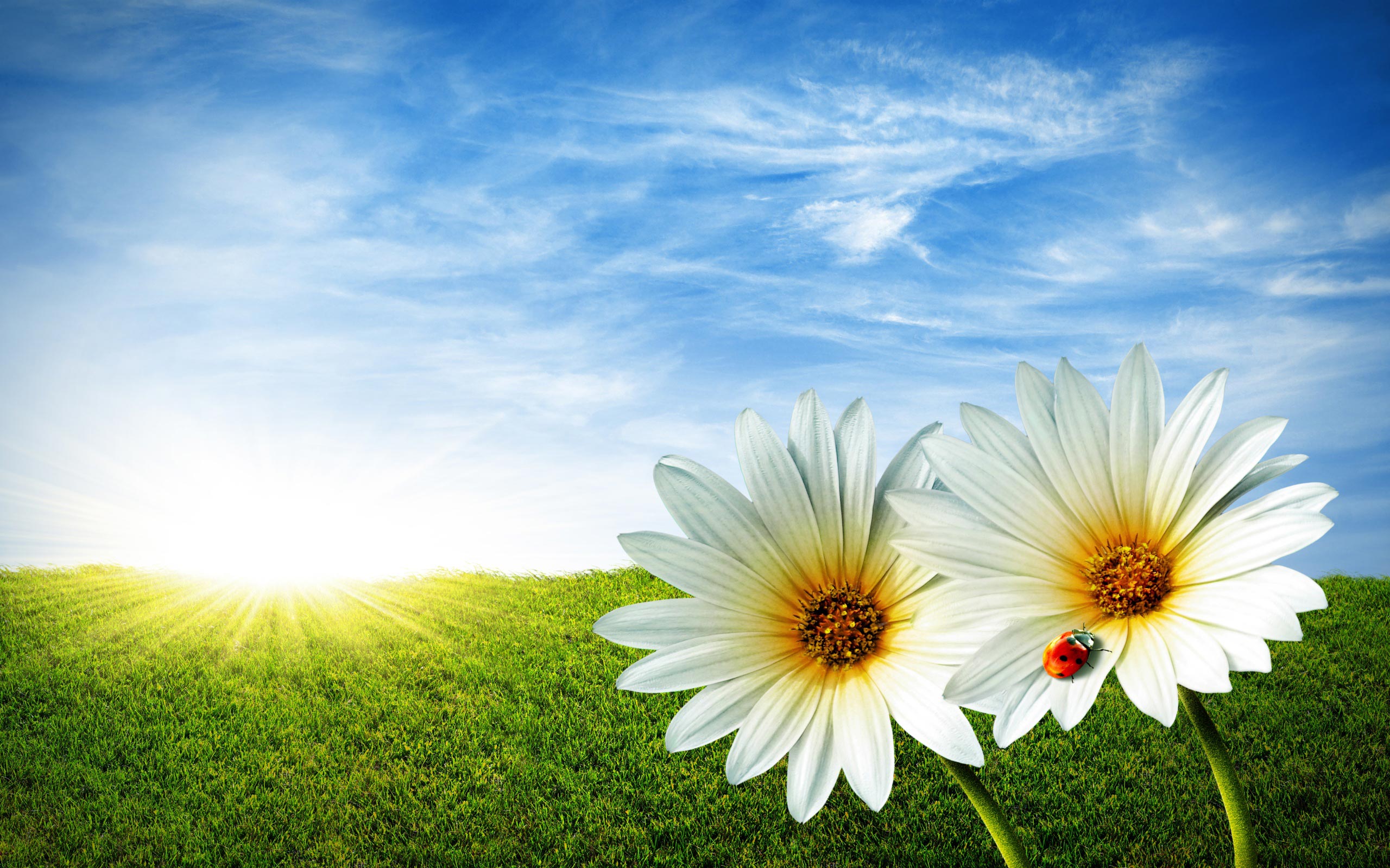  spring wallpapers category of hd wallpapers spring screensavers 2560x1600