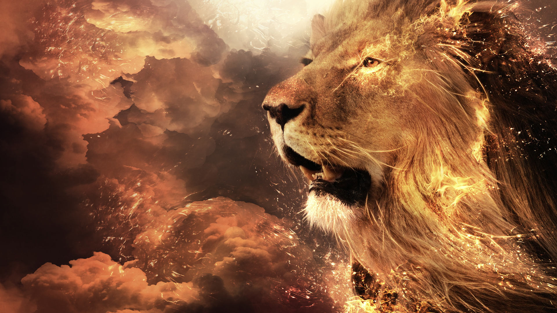 Render Lion Sky On Fire Clouds Art Digital Desktop Background