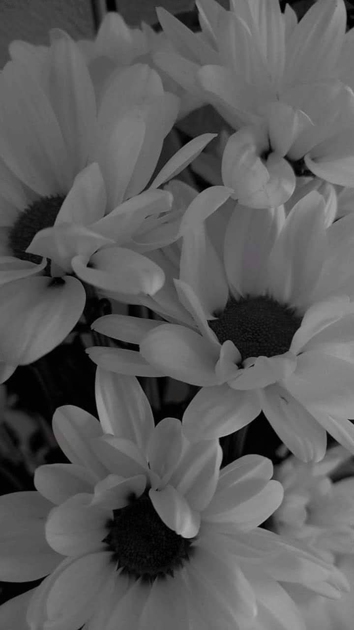 Lily On Flowers Wallpaper