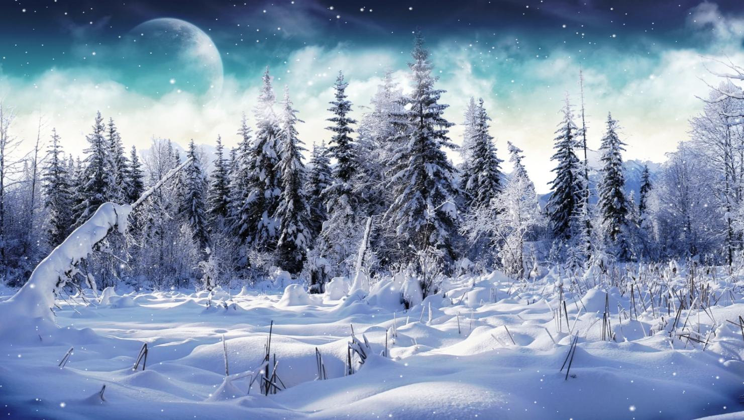 And Enjoy This Cold Winter Screensaver Animated Wallpaper