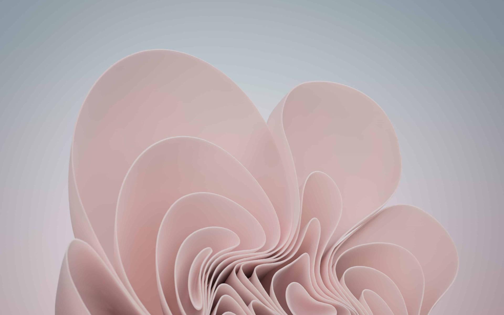 Windows Pink Aesthetic Bloom Wallpaper