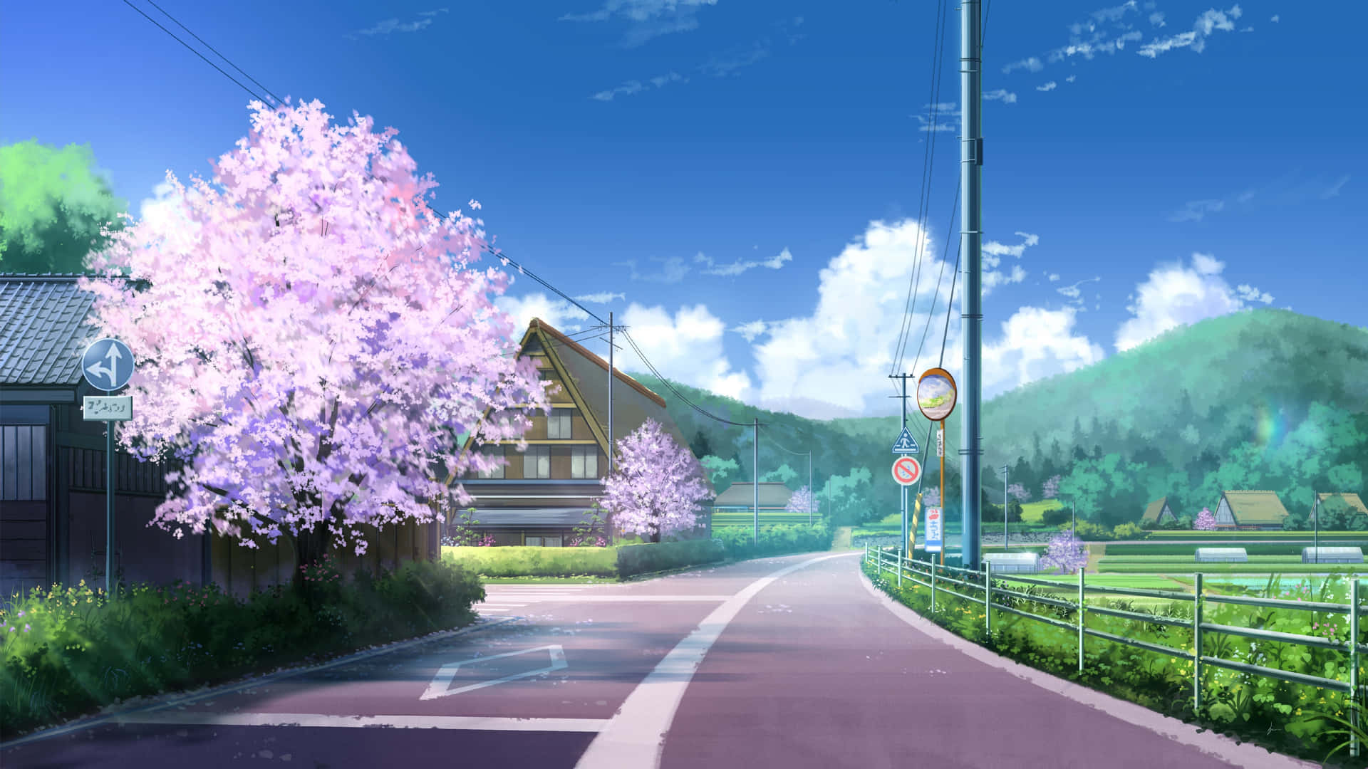 Cherry Blossoms Anime Scenery Wallpaper