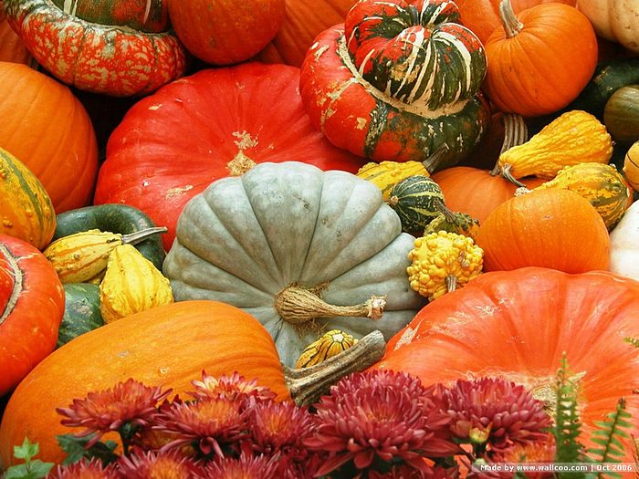 Fall Scenes Wallpaper With Pumpkins Wallcoo Photography