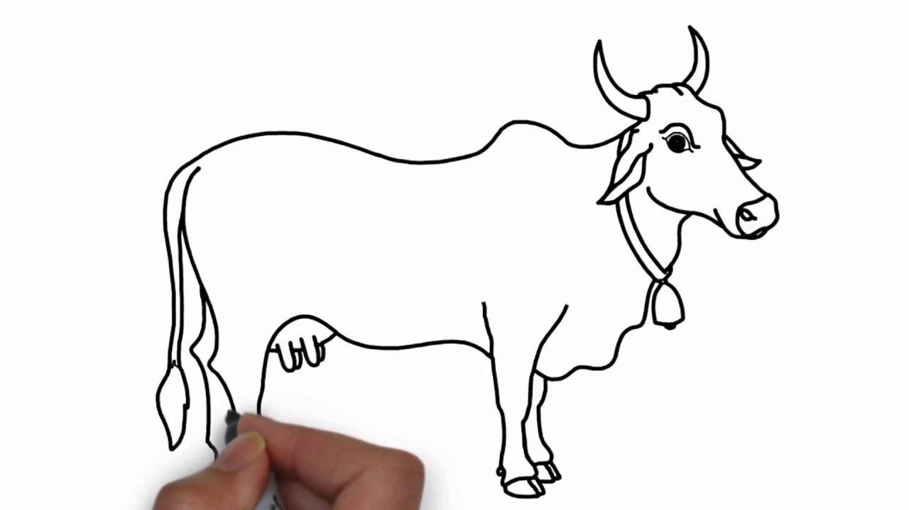 Draw Cow For Kids Colouring With Colore Marker