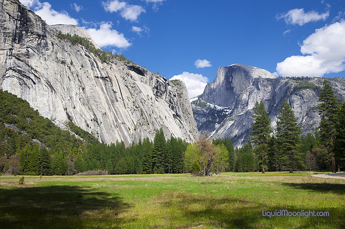 Half Dome Rises Above Yosemite Valley California Best