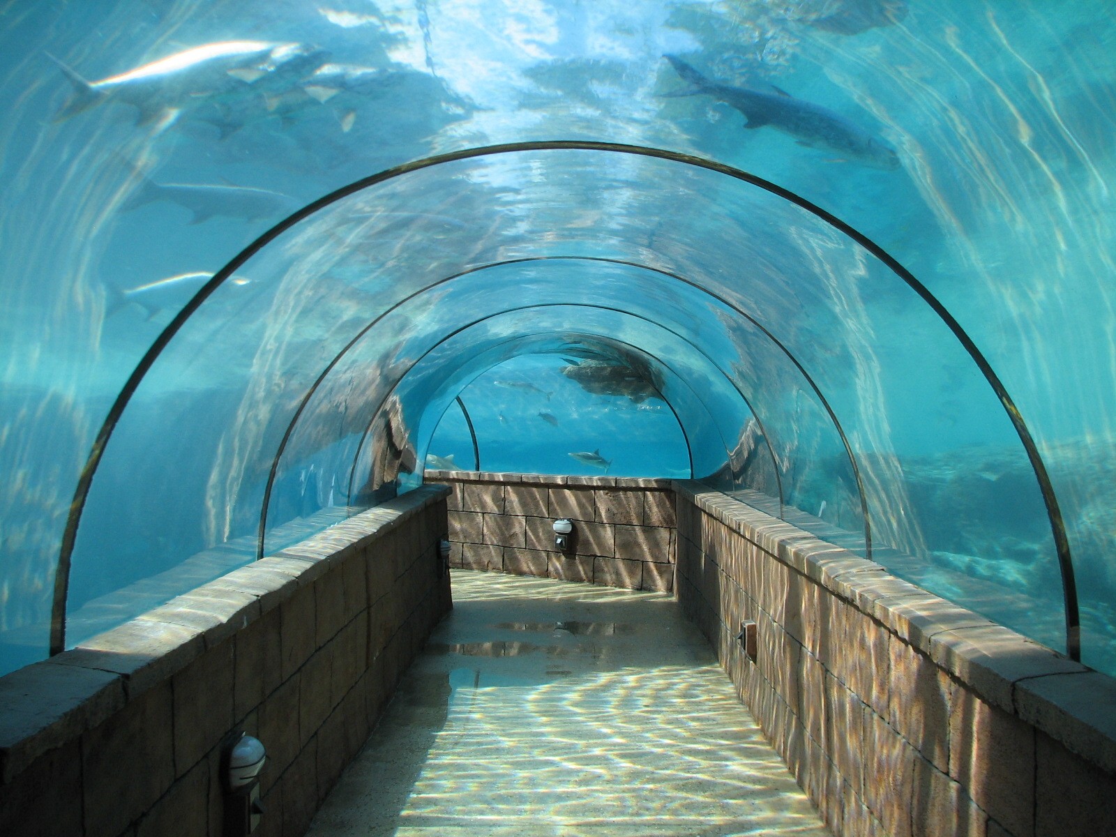 Lagoon Atlantis Resort Wallpaper X