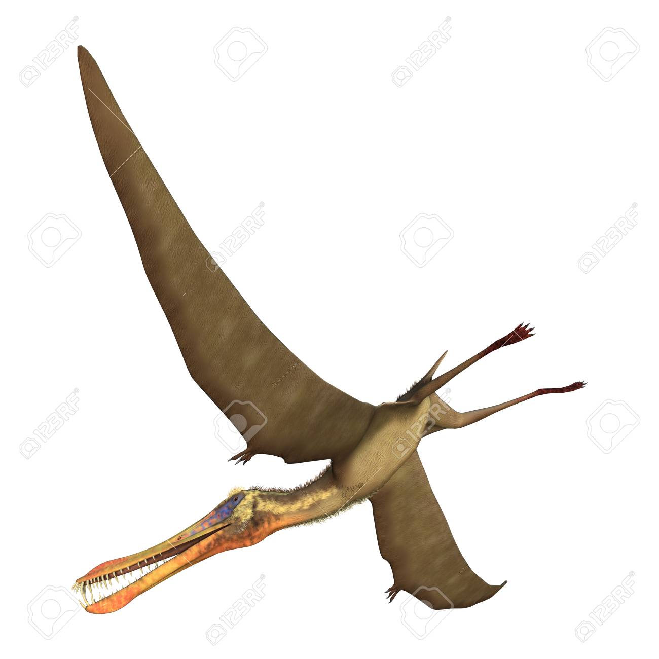 3d Rendering Of A Pterodactyl Anhanguera Isolated On White