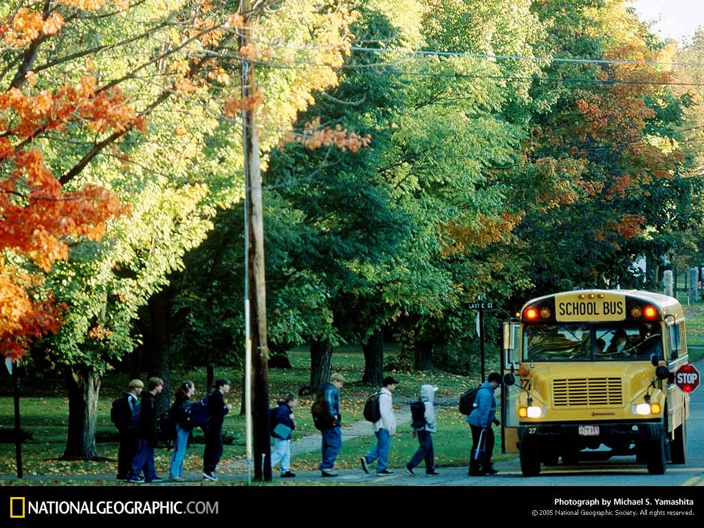 School Bus Lw