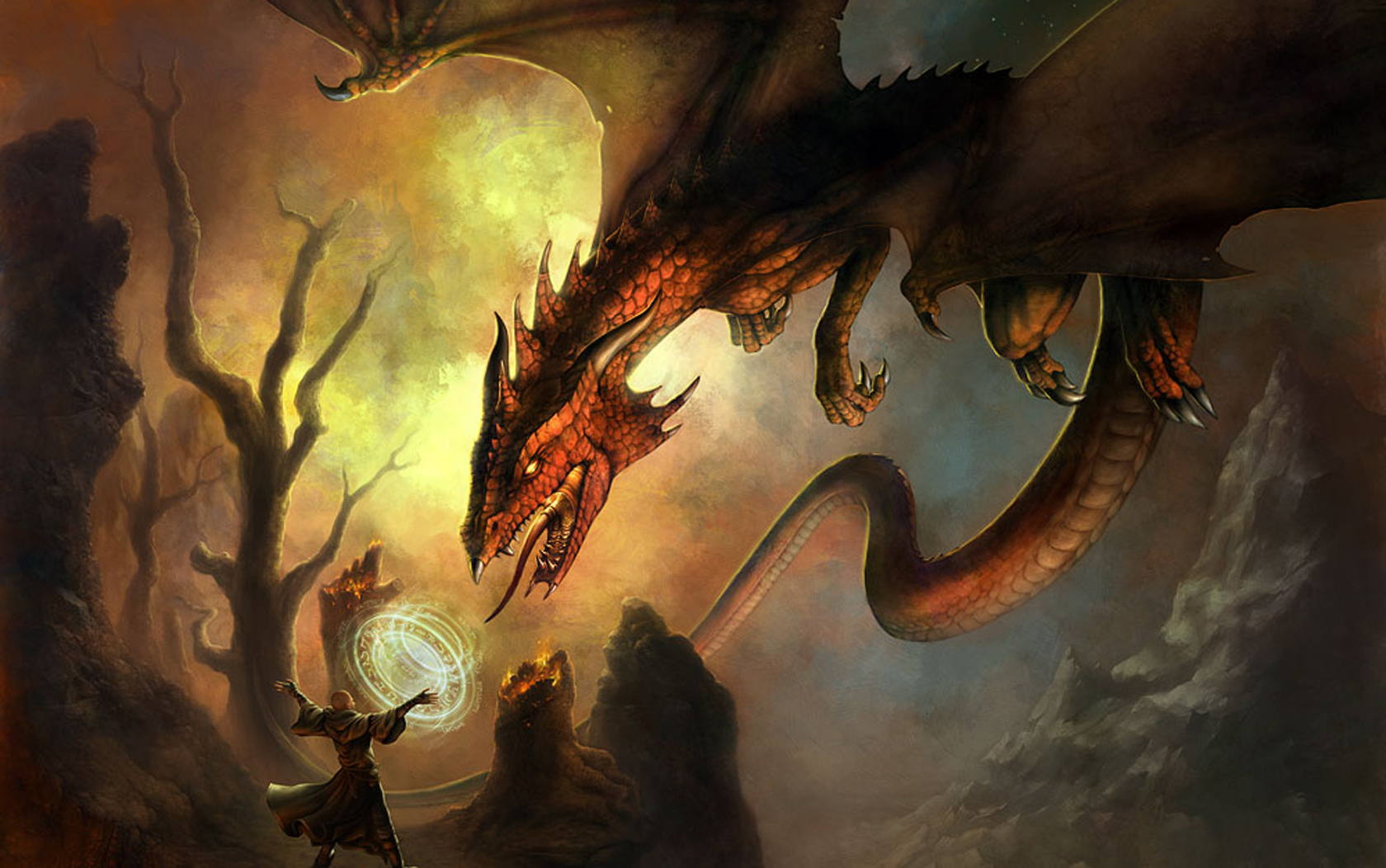 Fantasy Dragon Dragons Photo