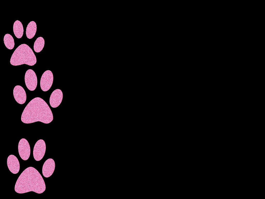 Pink Puppy Paws Graphics Code Ments Pictures
