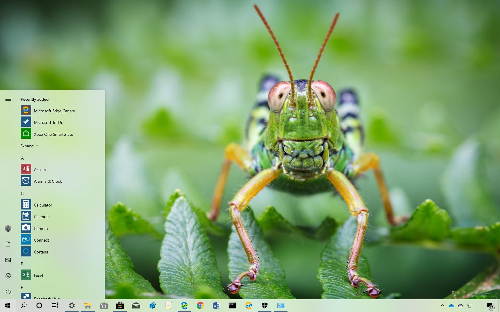Smiling Creatures theme for Windows 10 download   Pureinfotech