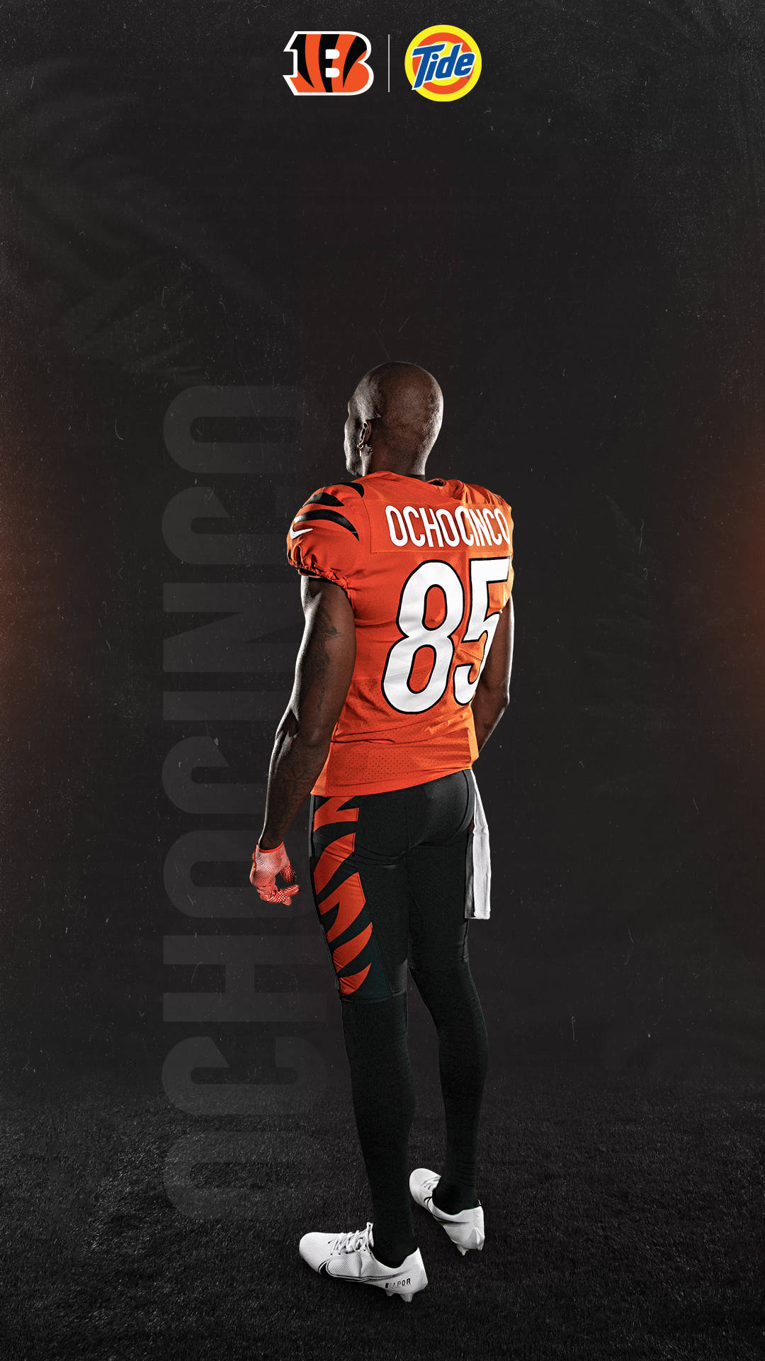 Top Cincinnati Bengals Wallpaper Full HD 4k To Use