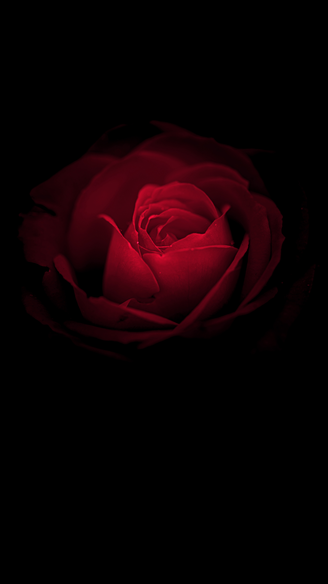 Abstract Rose Wallpaper