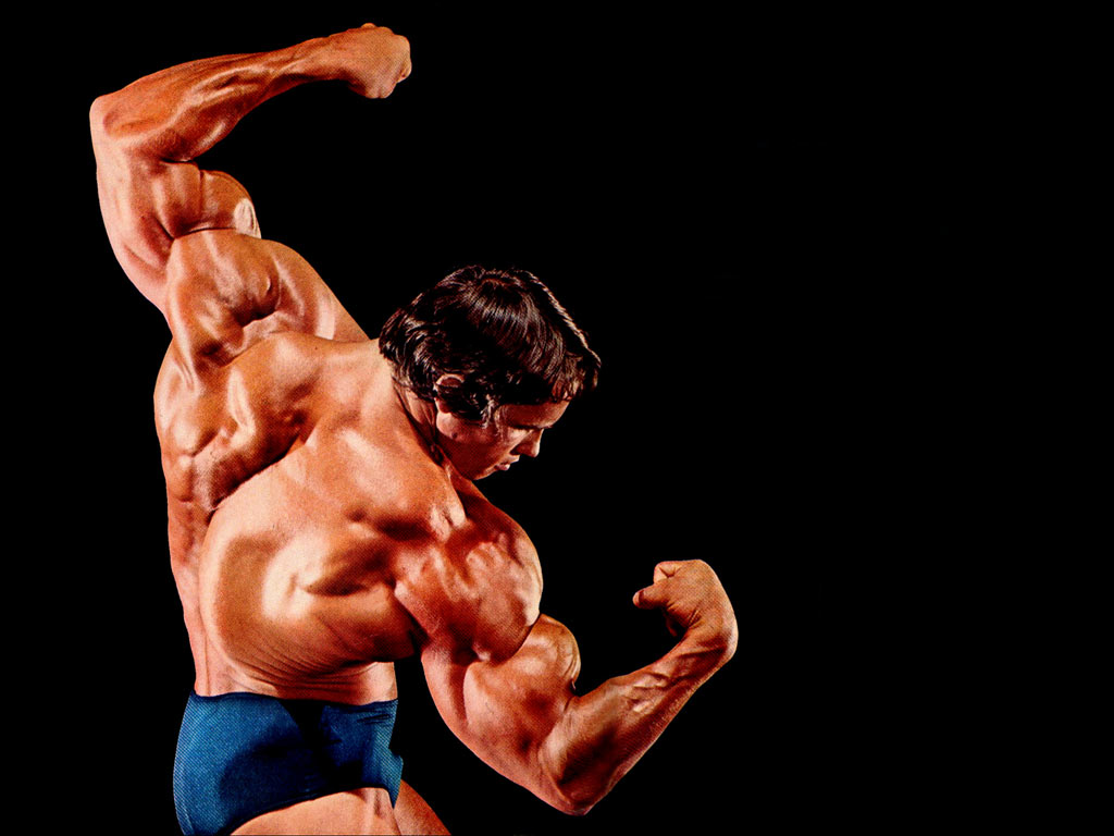 Bodybuilding Wallpaper Arnold Schwarzenegger