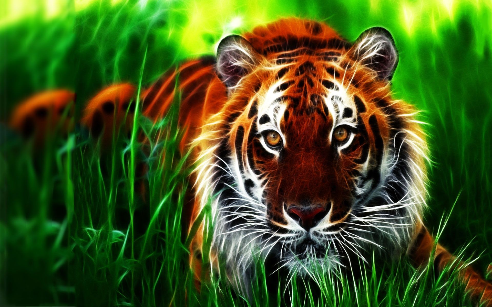 Tiger Wallpaper 3d For iPhone Pictures