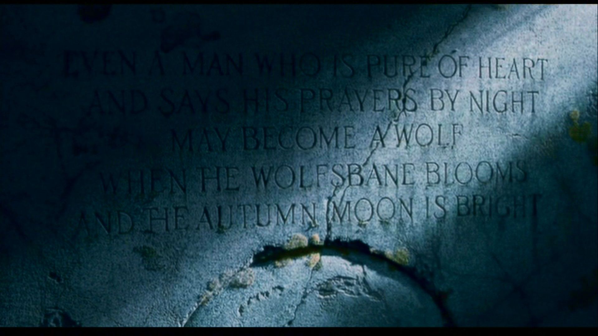 Maria Vit Ria Almeida On Monstros The Wolfman Man