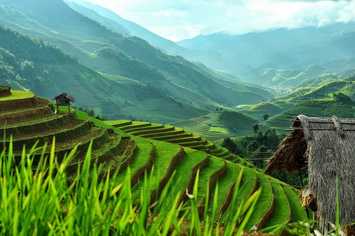 Beautiful Terraced Fields In Vietnam Most Places The