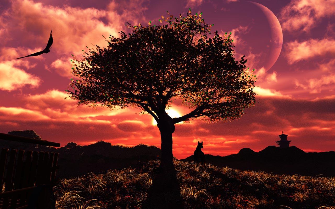 3d Sunset Tree Live Wallpaper Android Apps On Google Play