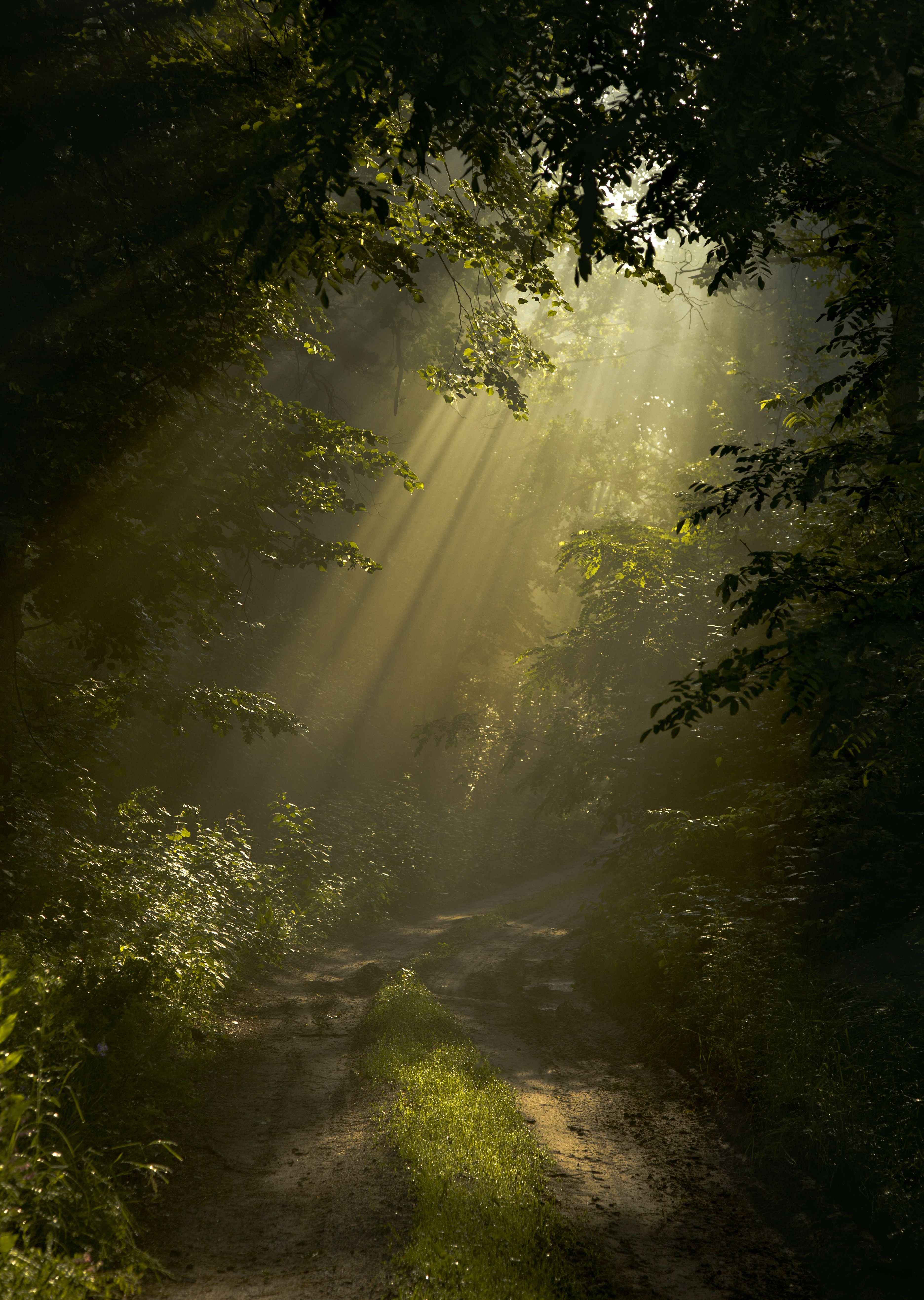 B7959f9cd67987d98496d7ea441a9e84 Wallpaper