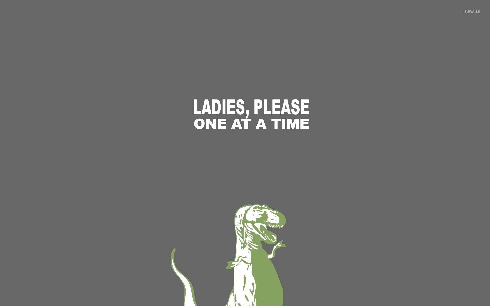 Ladies Please One At A Time Wallpaper Funny