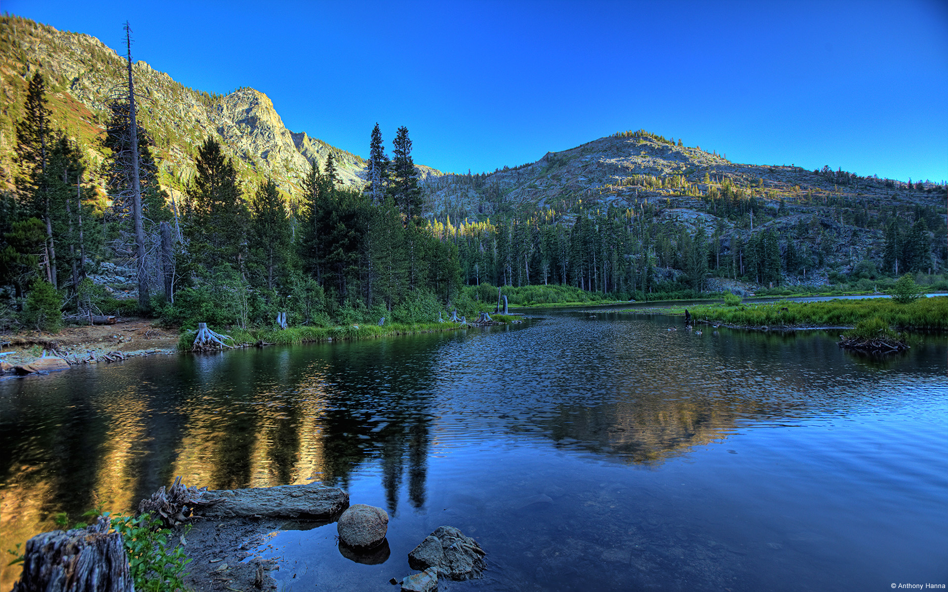 Free download California Woodland [1920x1200] for your Desktop, Mobile