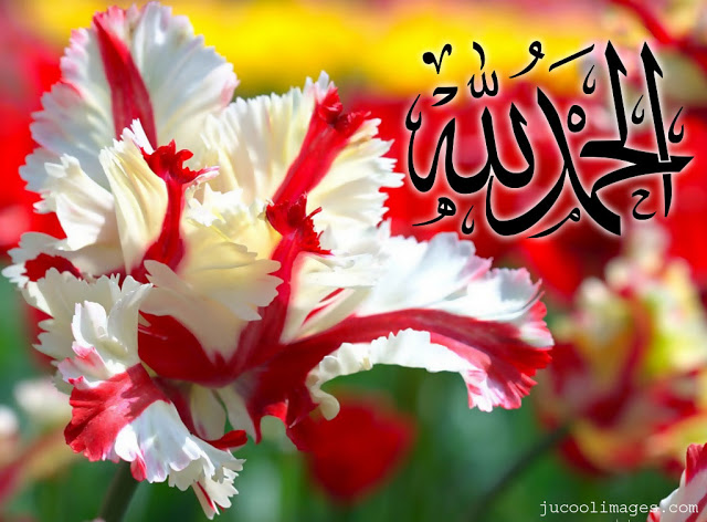 Desktop Wallpaper Of Allah Almighty Beautiful Names Colours Life