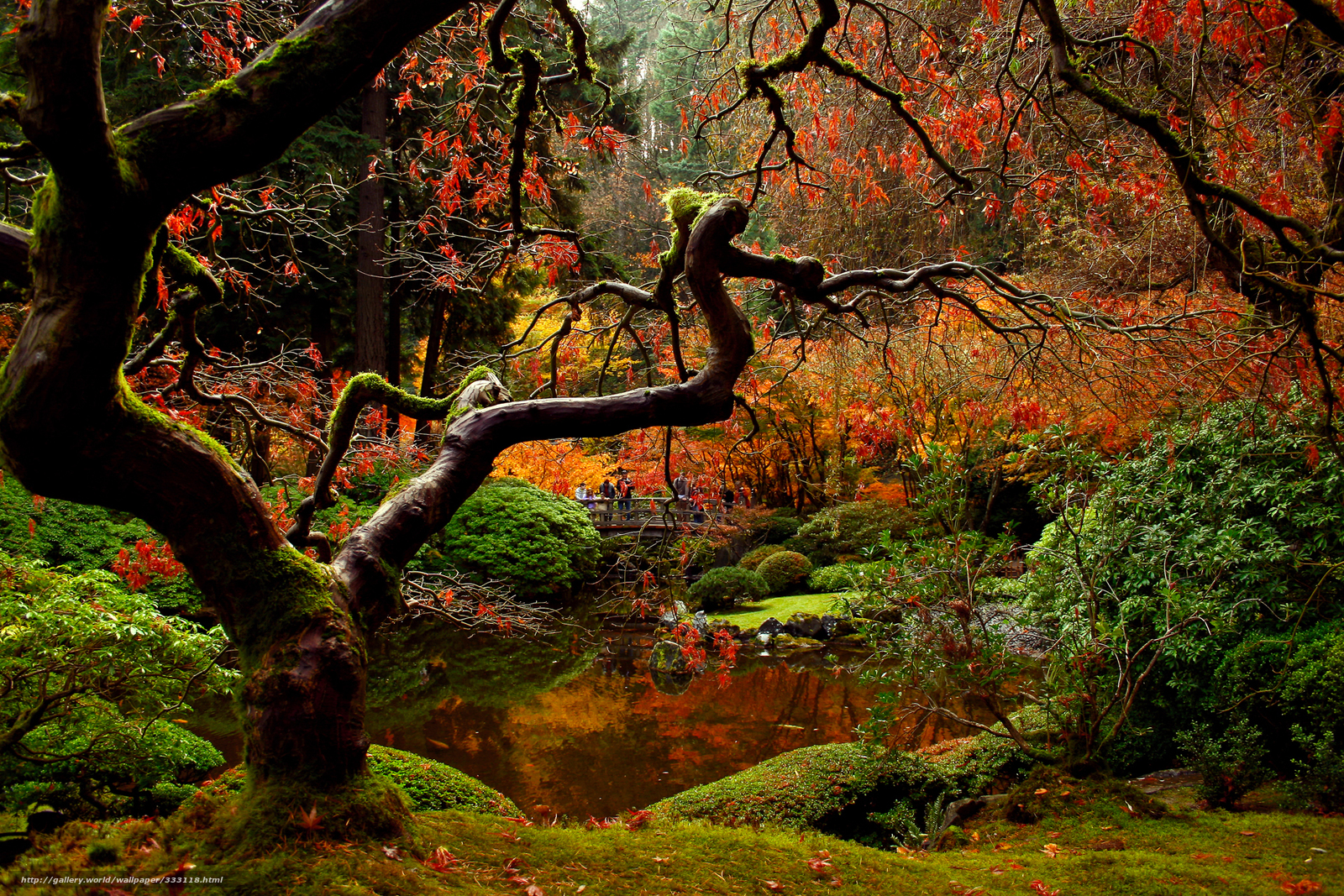 Wallpaper Nature Autumn Japanese Garden Desktop