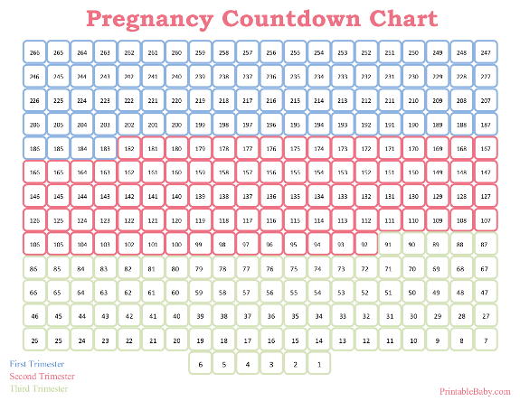 Pregnancy Countdown Quote Image